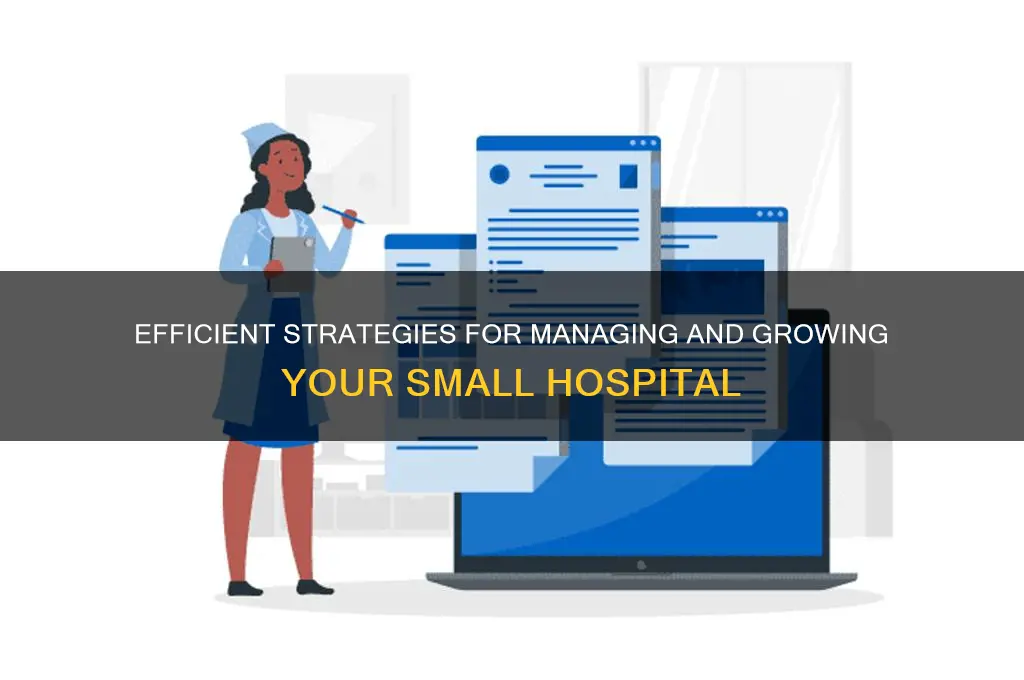 how to manage small hospital