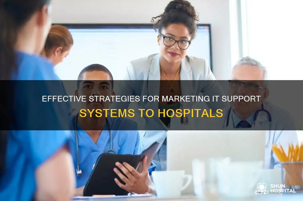 how to market to hospitals your it support systems