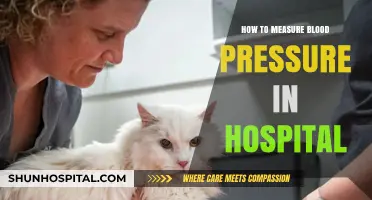 Monitoring Blood Pressure: Hospital Techniques