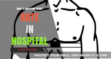 Measuring Heart Rate: Hospital Techniques and Tools