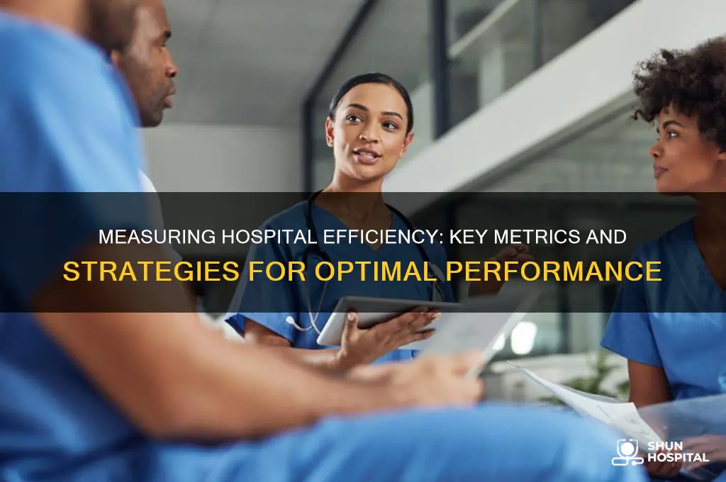 how to measure hospital efficiency