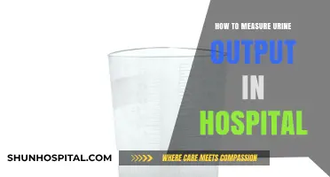 Monitoring Urine Output: A Hospital Guide