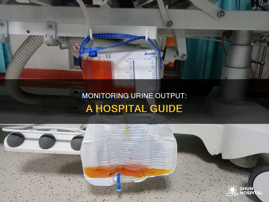 how to measure urine output in hospital