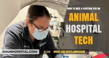 Mastering the Role: Tips to Secure Your Animal Hospital Tech Position