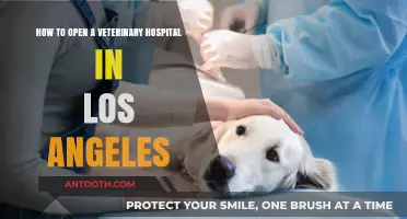 Launching Your LA Vet Hospital: A Comprehensive Guide to Success