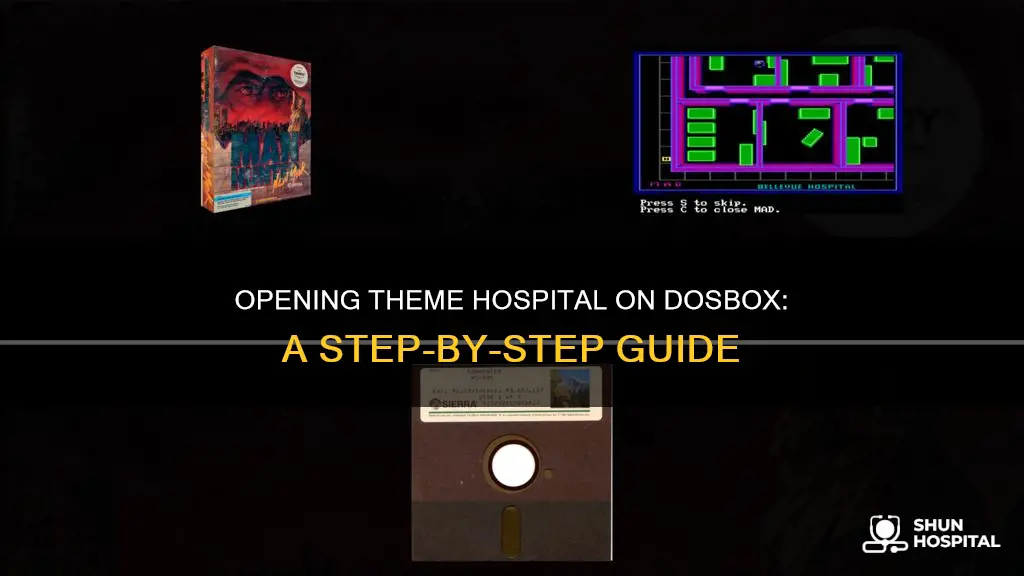 how to open theme hospital on dosbox