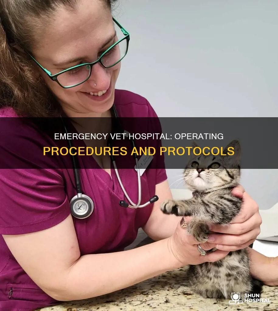 how to operate an emergency vet hospital