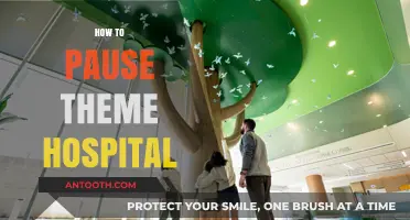 Mastering Theme Hospital: A Quick Guide to Pausing Gameplay