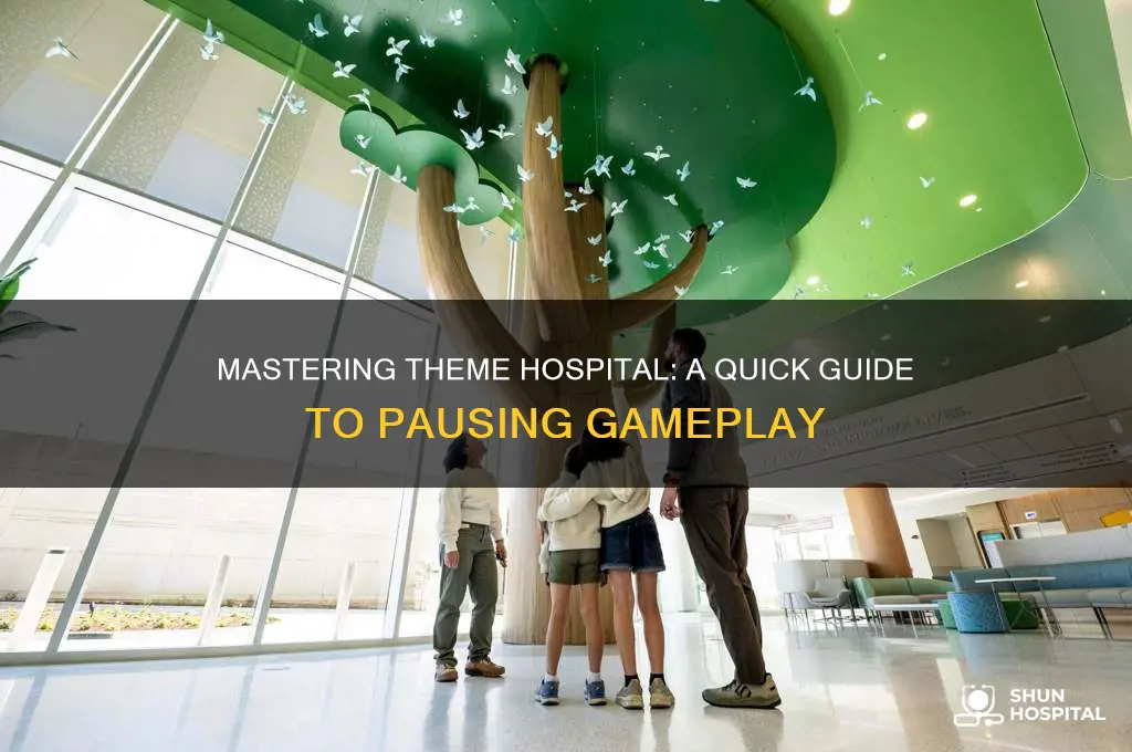 how to pause theme hospital