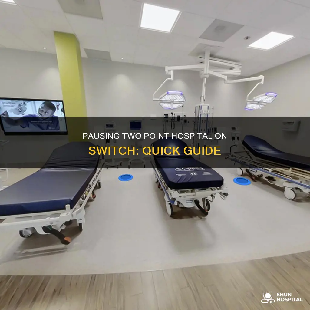 how to pause two point hospital switch
