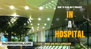 Strategic IT Project Planning for Efficient Hospital Operations and Patient Care
