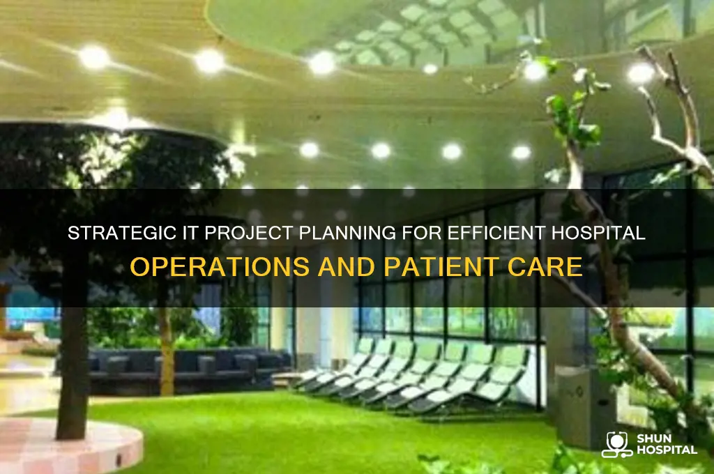 how to plan an it project in a hospital