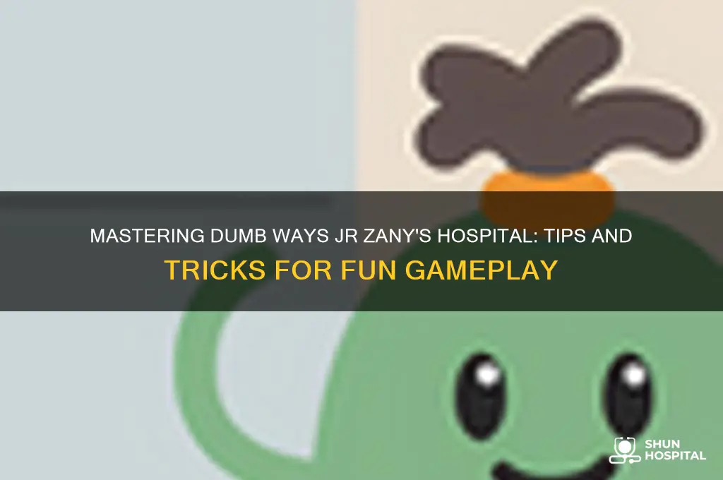 how to play dumb ways jr zany