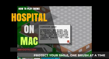 Playing Theme Hospital on Your Mac