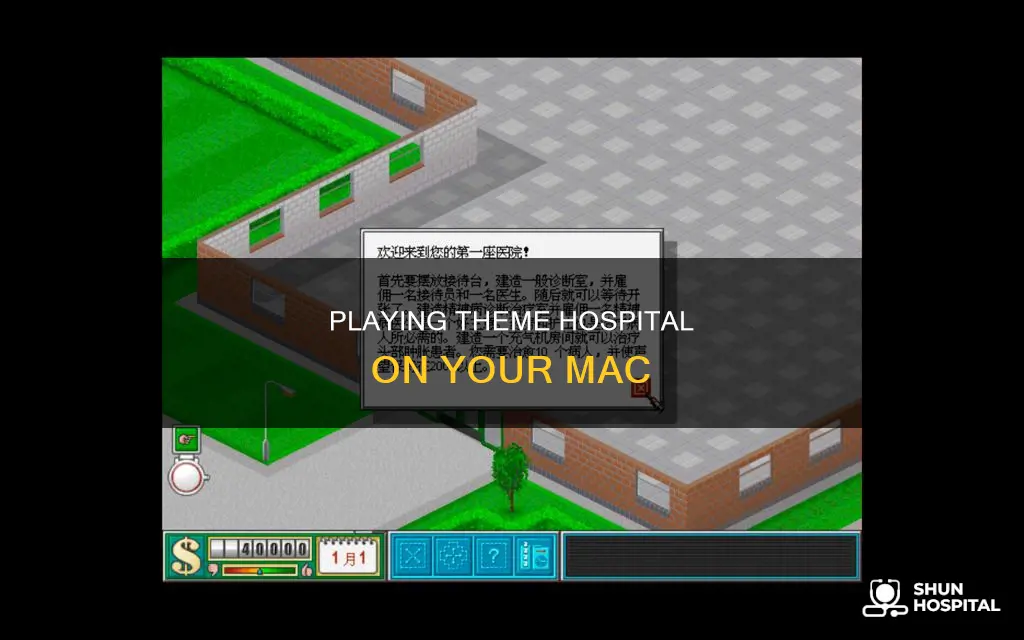 how to play theme hospital on mac