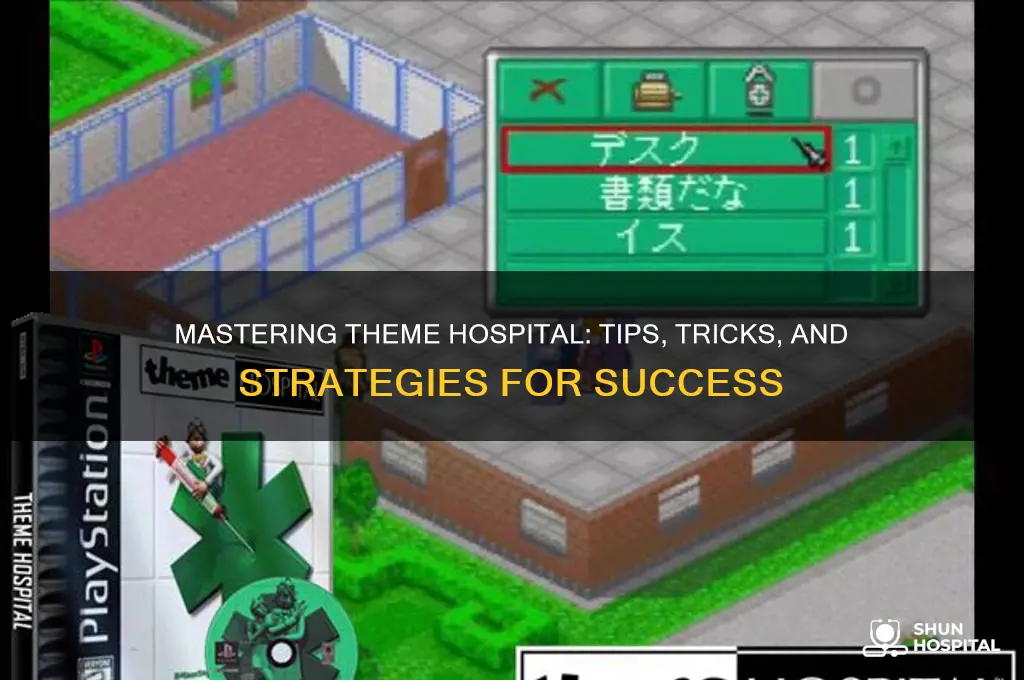 how to play theme hospital