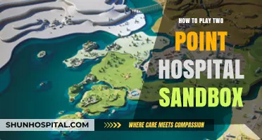 Sandbox Mode: Mastering Two Point Hospital