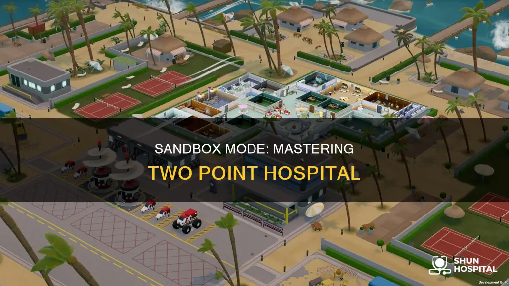how to play two point hospital sandbox