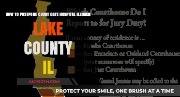 Postponing Your Lake County, IL Court Date Due to Hospitalization