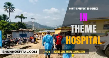 Preventing Epidemics: Guide to Theme Hospital Success