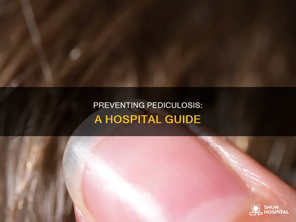 how to prevent pediculosis in the hospital