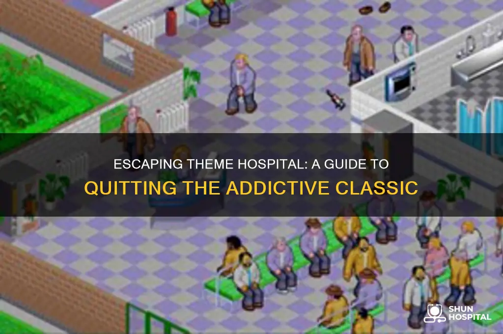how to quit theme hospital