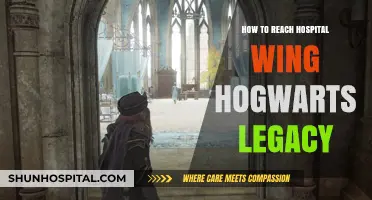 Unlocking Hospital Wing Secrets in Hogwarts Legacy