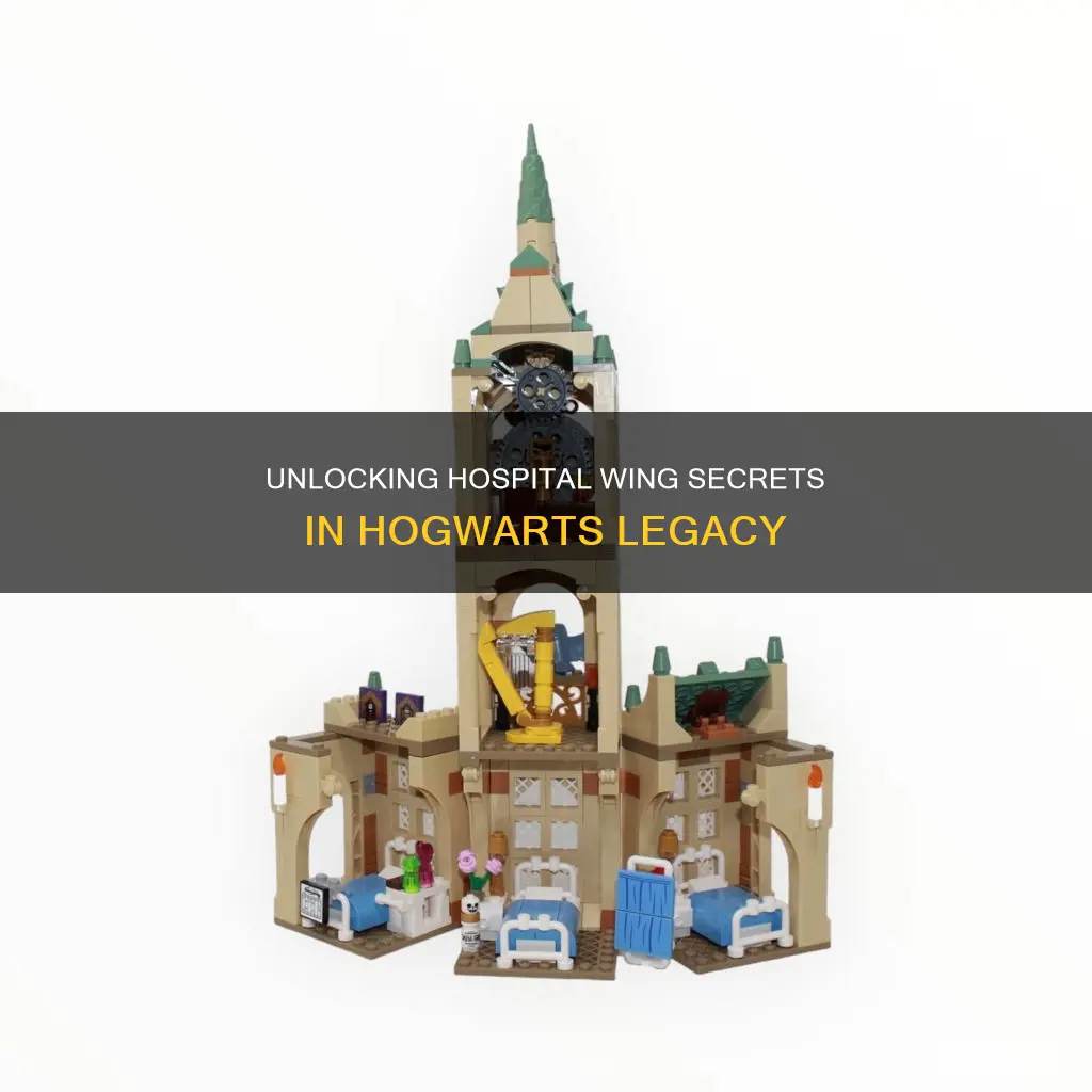 how to reach hospital wing hogwarts legacy