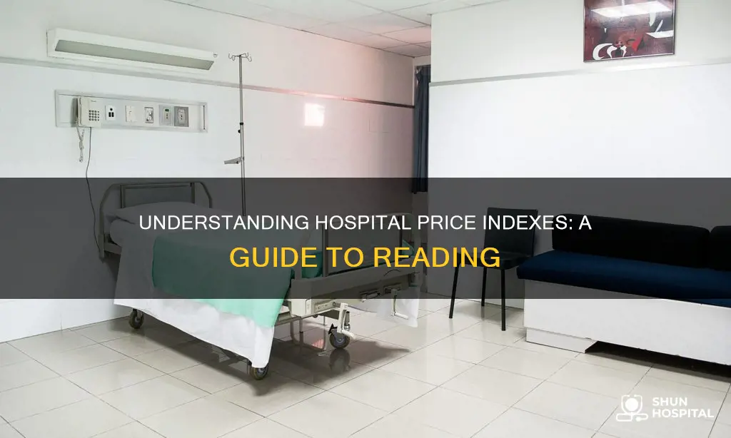 how to read a hospital price index