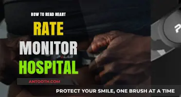 Understanding Heart Rate: Reading Your Monitor