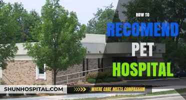 Choosing the Best Pet Hospital: Essential Tips for Pet Owners