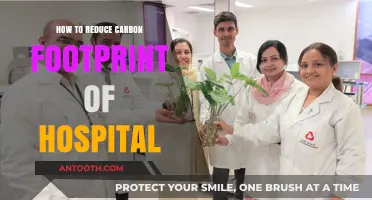Greening Healthcare: Reducing Hospital Carbon Footprints