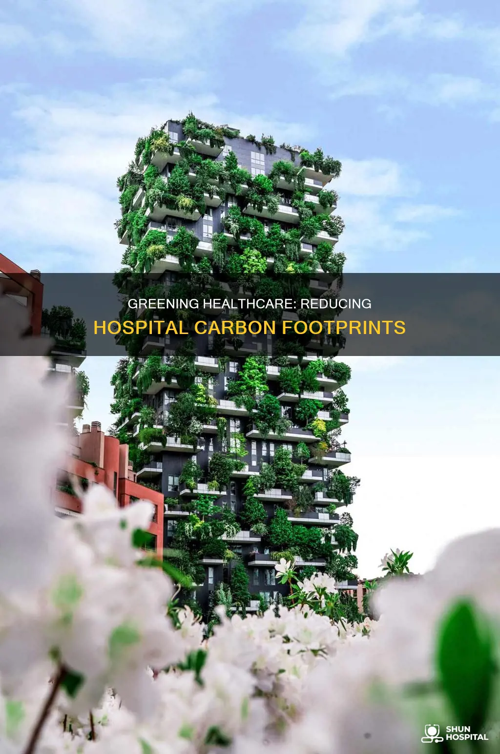 how to reduce carbon footprint of hospital