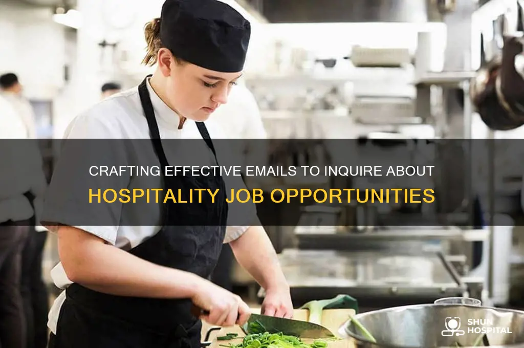 how to request information about a hospitality job in email