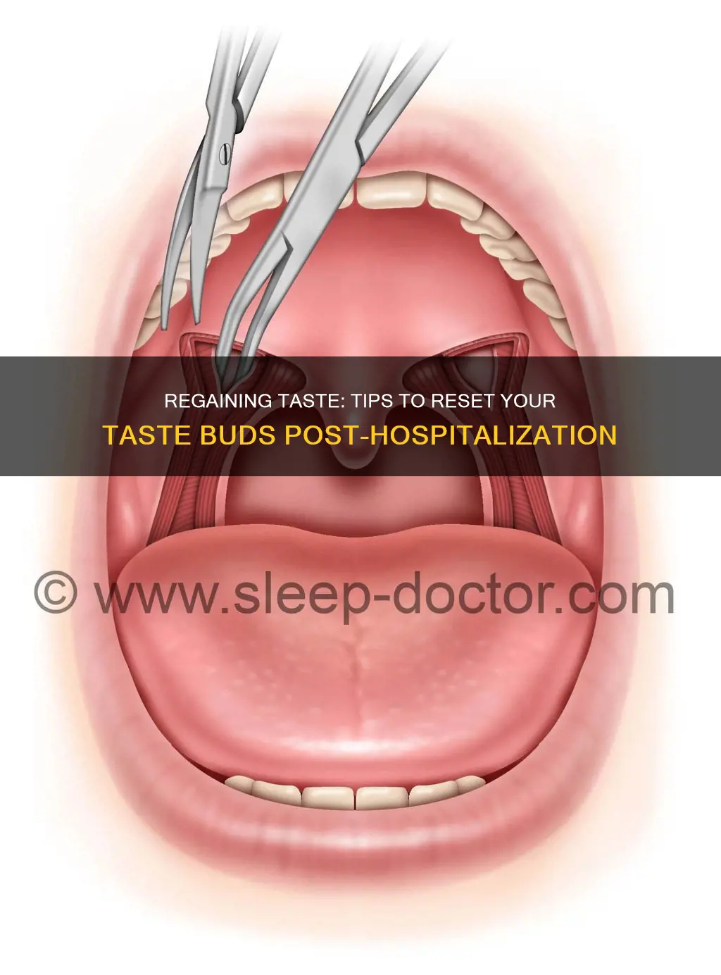 how to restore taste buds after hospitalization