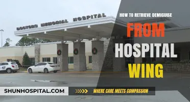 Retrieving Demiguise: A Hospital Wing Escape