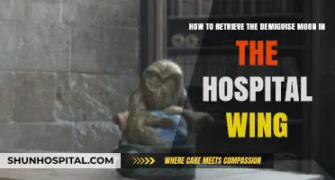 Retrieving the Demiguise Moon: A Guide to the Hospital Wing