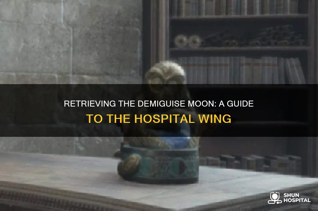 how to retrieve the demiguise moon in the hospital wing