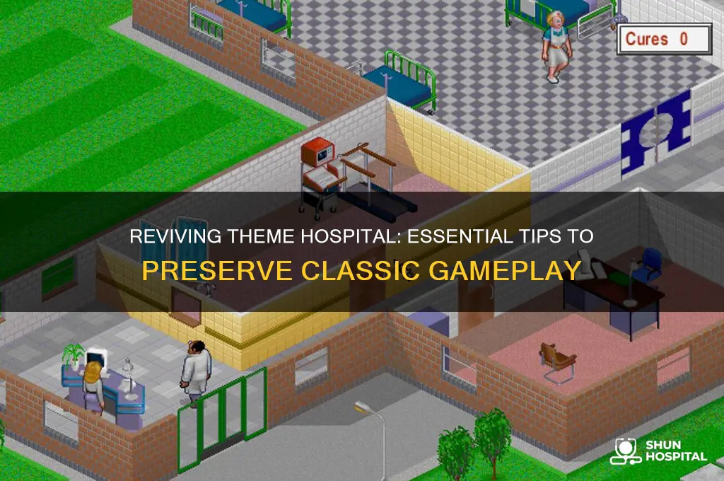how to save theme hospital