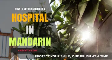 Rehab Hospital in Mandarin: Quick Guide