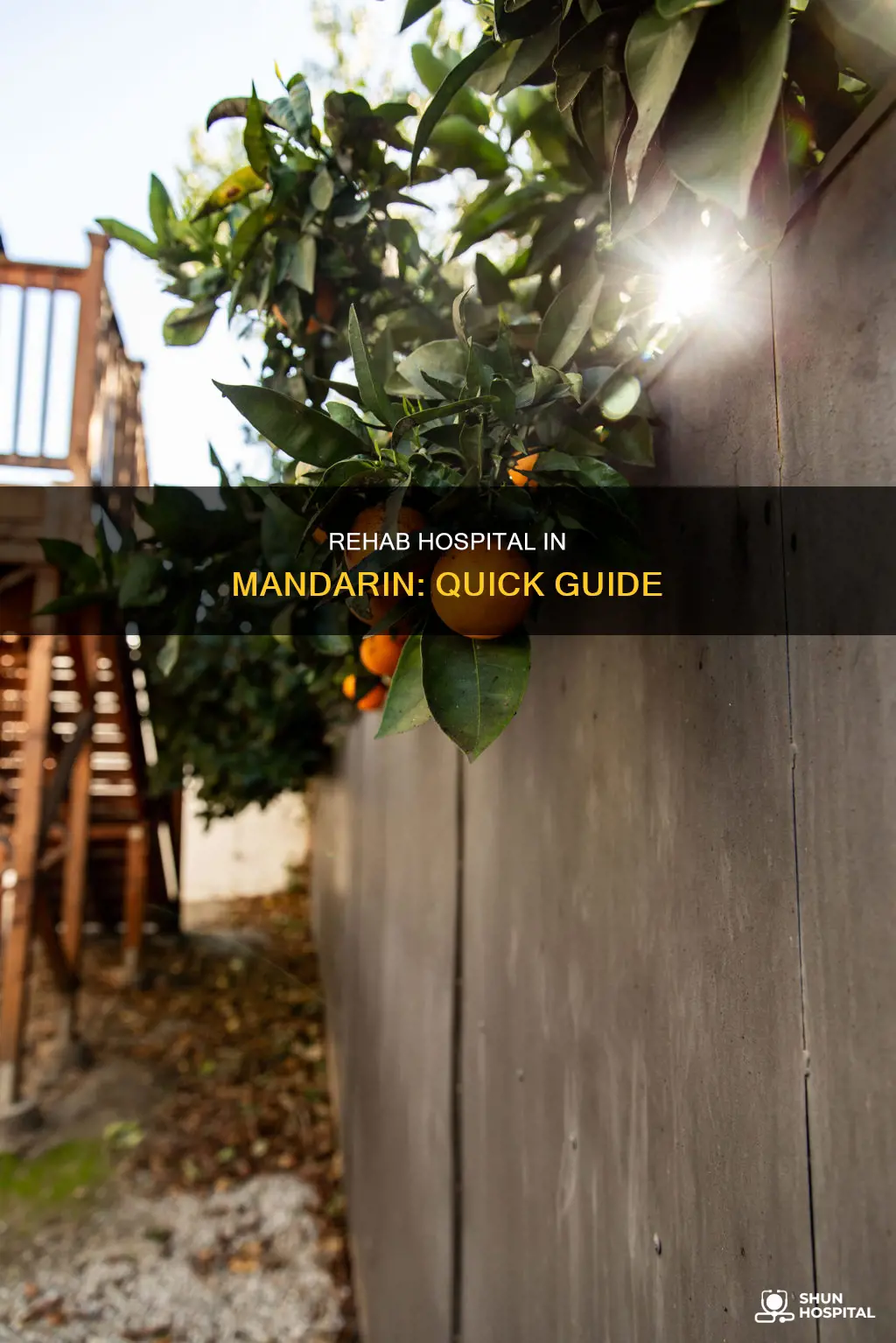 how to say rehabilitation hospital in mandarin