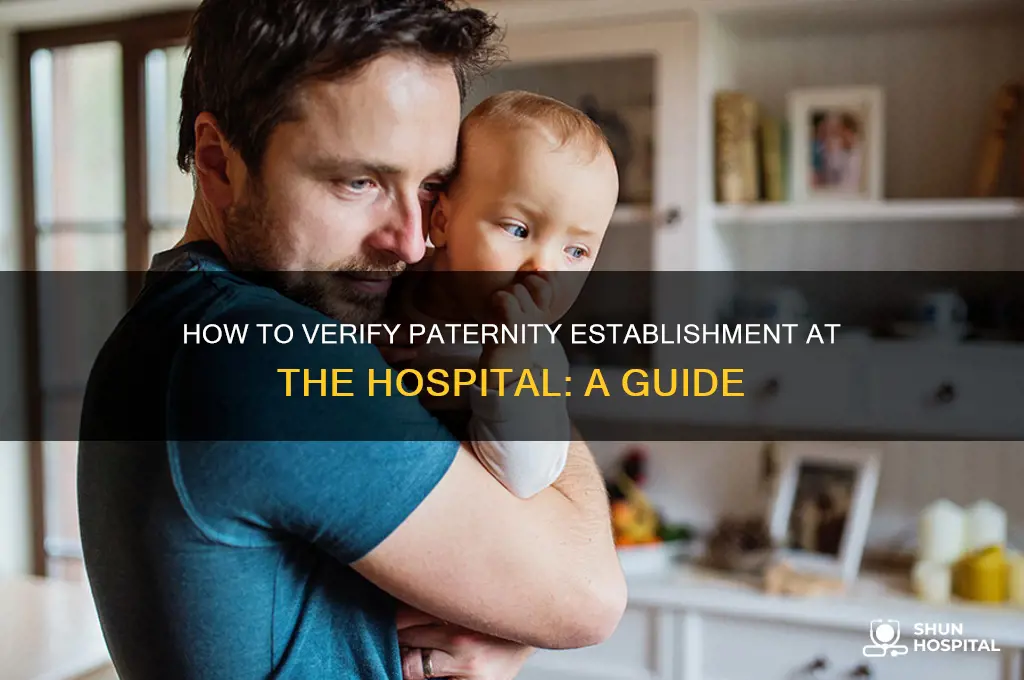 how to see if i have estabished paternity at hospital