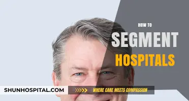 Effective Strategies for Segmenting Hospitals to Optimize Healthcare Delivery