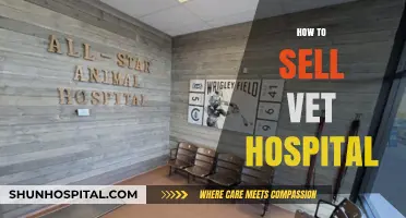 Selling Your Vet Hospital: A Comprehensive Guide to Maximizing Value