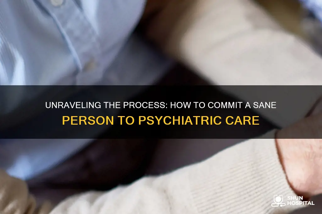 how to send a sane person to a psychiatric hospital
