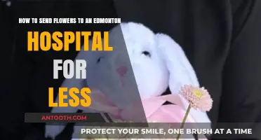Affordable Flower Delivery Tips for Edmonton Hospitals