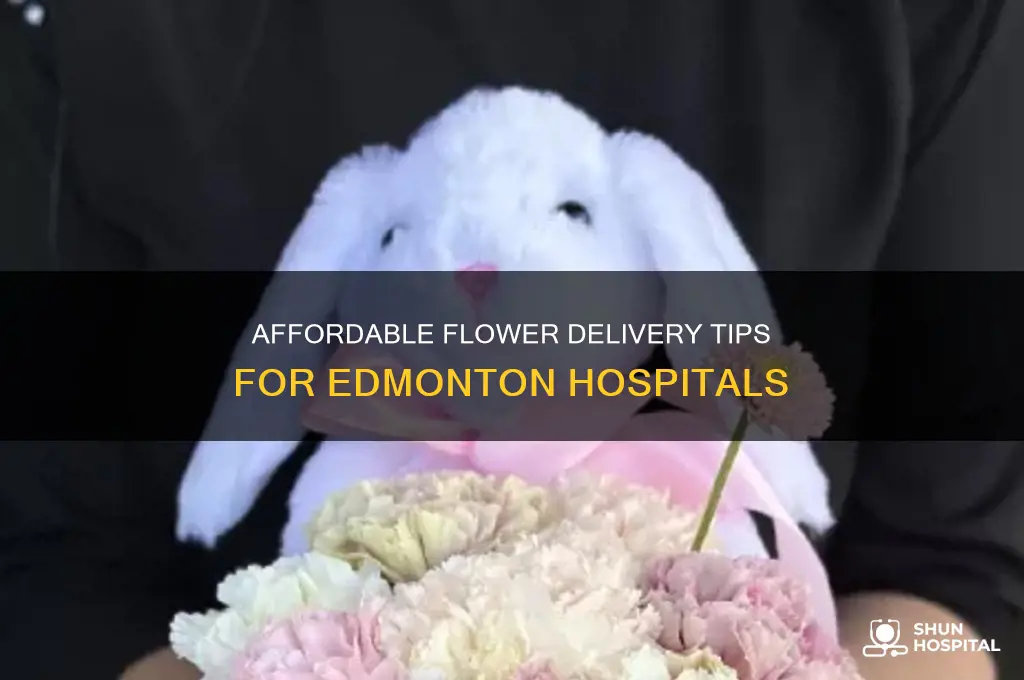 how to send flowers to an edmonton hospital for less