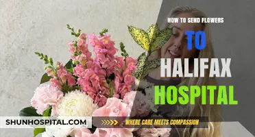 Sending Flowers to Halifax Hospital: A Guide