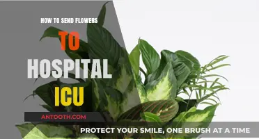 Sending Flowers to a Hospital ICU: A Guide