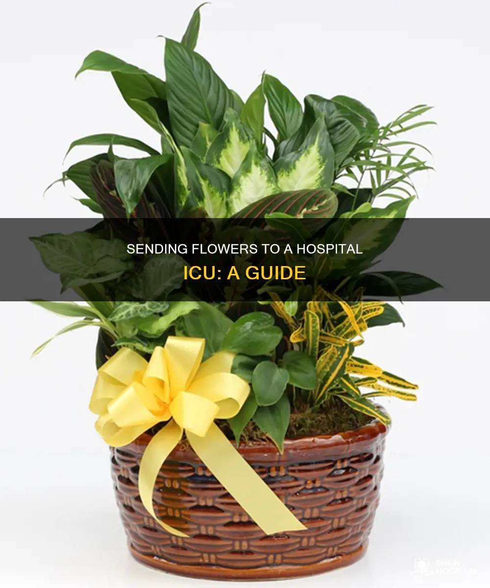 how to send flowers to hospital icu